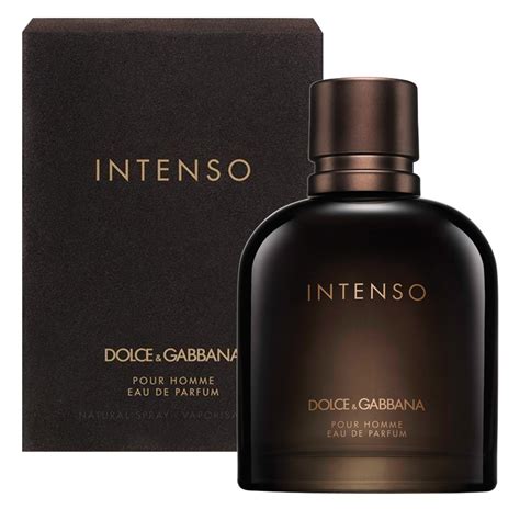 perfume dolce gabbana pour homme é bom|dolce and gabbana intense for women.